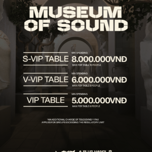 MANIFESTIVAL X A PLUS HANOI X TECHNO VIETNAM #TECHNOFEST8 pres. Museum of Sound 16.03-menu