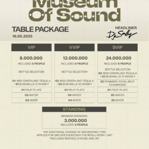 MANIFESTIVAL 9 pres. DJ SALLY A PLUS HANOI 16.05-table